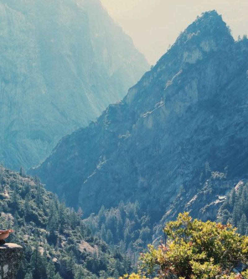 pexels-photo-906097-768x512